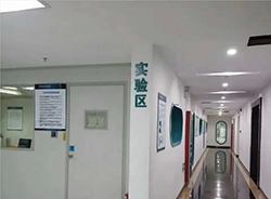 浙江升学DNA鉴定机构在哪里，浙江入学DNA亲子鉴定需要怎么办理